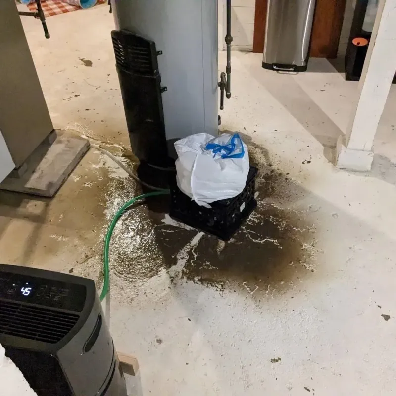Sewage Backup Cleanup Service in Winton, CA